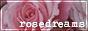Rose Dreams